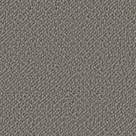 Snug Delicate Feather