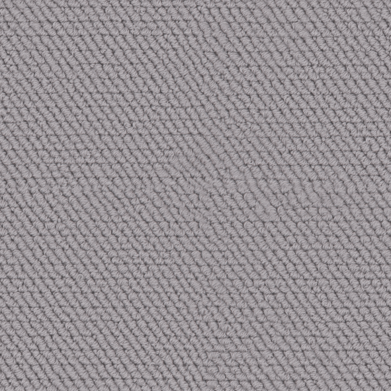 Tranquil Gentle Dove