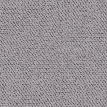 Tranquil Gentle Dove