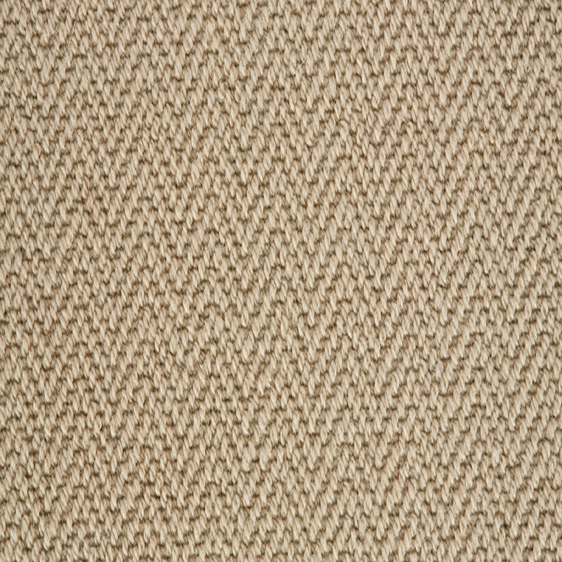 Wilton Svelte Lichen