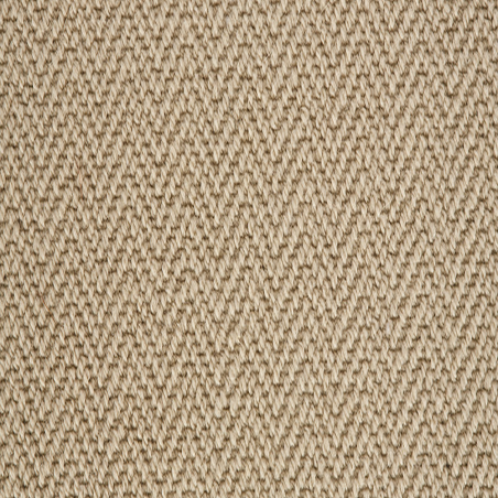 Wilton Svelte Lichen