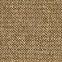 Anywhere Panama Caramel