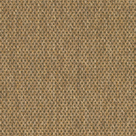 Anywhere Panama Caramel
