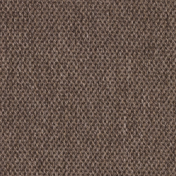 Anywhere Panama Cocoa