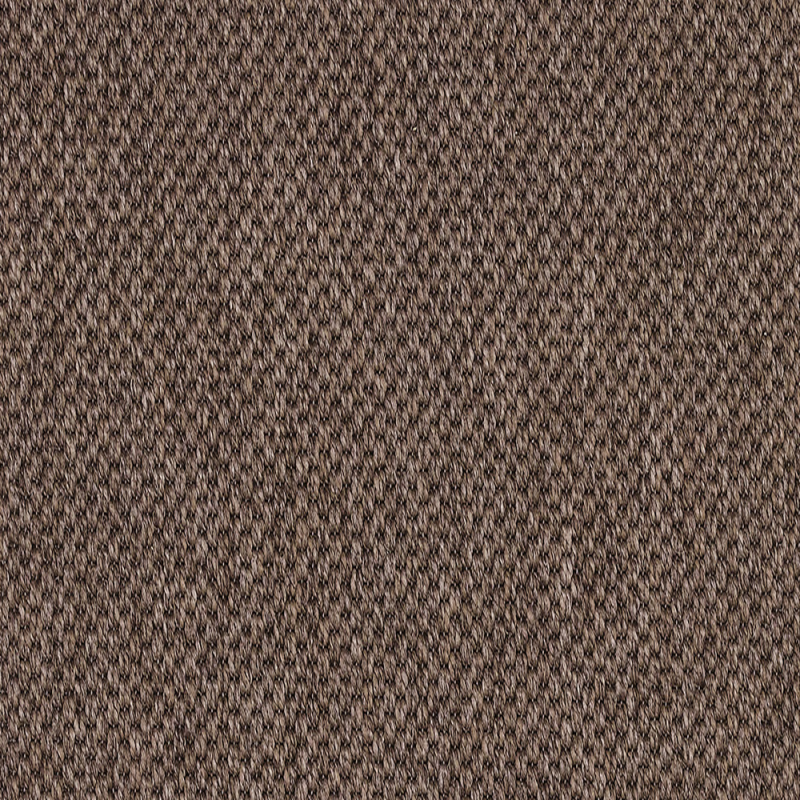 Anywhere Panama Cocoa