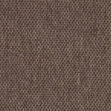 Anywhere Panama Cocoa