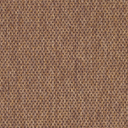 Anywhere Panama Copper