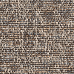 Anywhere Shadow Cast