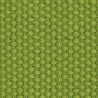 Cotton Apple