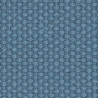 Cotton Blueberry