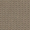 Cotton Cashmere