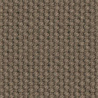 Cotton Mink