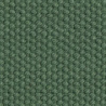 Cotton Moss