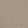 Cotton Oyster