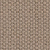 Cotton Praline