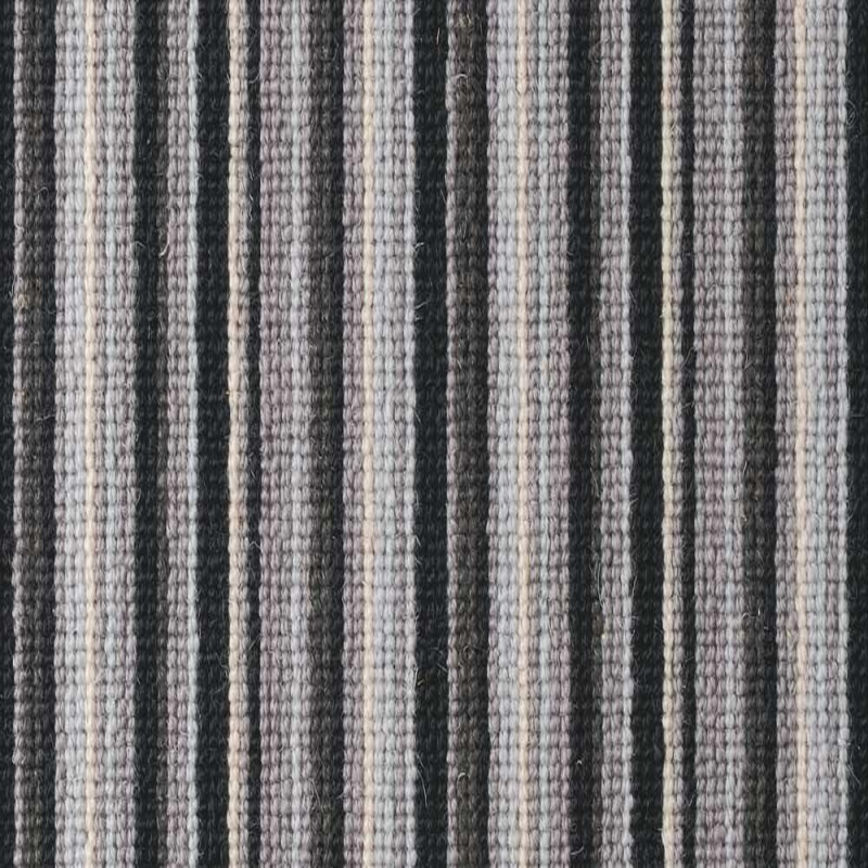 Rock  N  Roll Back In Black