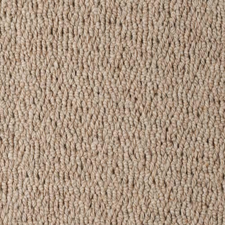 Knot Timber Knot Timber