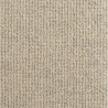 Forest Pale Birch