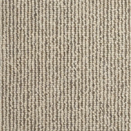 Forest Willow