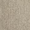 Forest Willow