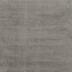 Quantum Silver Light