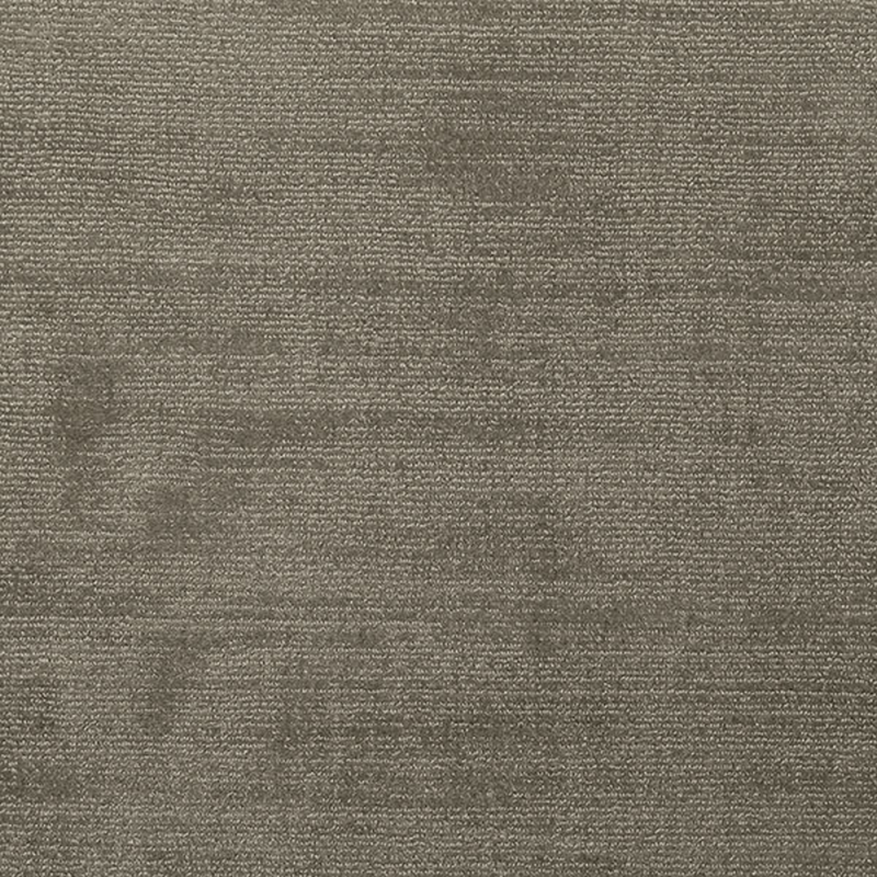 Quantum Wistful Dove