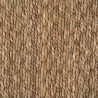Seagrass Panama
