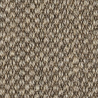 Sisal Sumatra Komodo