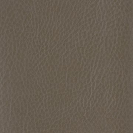 Faux Leather Borders Earth