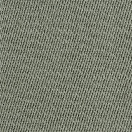 Linen Borders Lichen