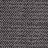 Delphine Graphite