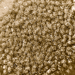 Ultima Twist Autumn Dawn