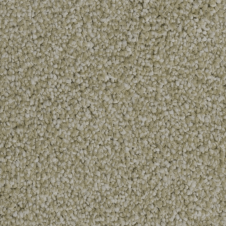 First Impressions Charming