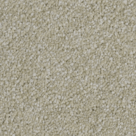 First Impressions Clean Cut