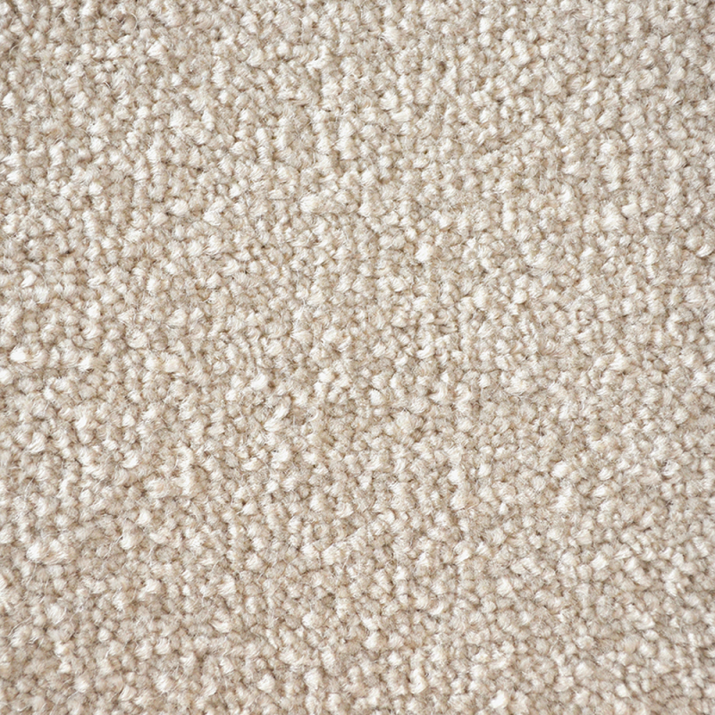 First Impressions Day Dreamer