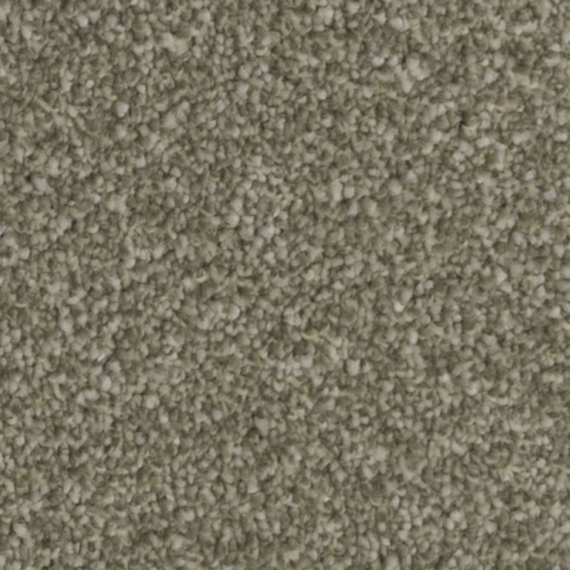 First Impressions Fresh