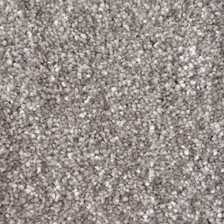 First Impressions Image