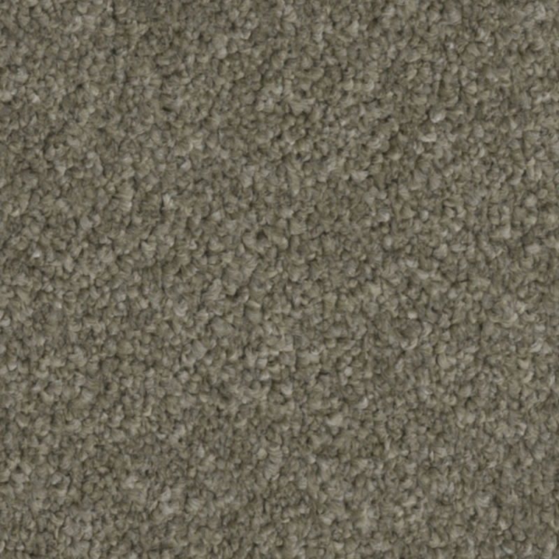 First Impressions Neat N Tidy