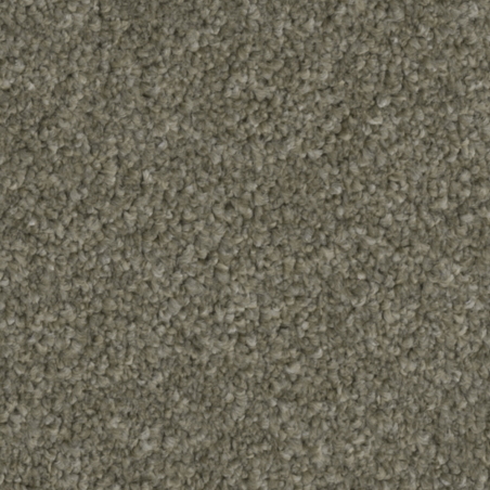 First Impressions Neat N Tidy