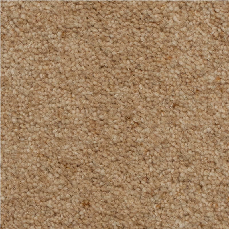 Tudor Twist Beach Hut