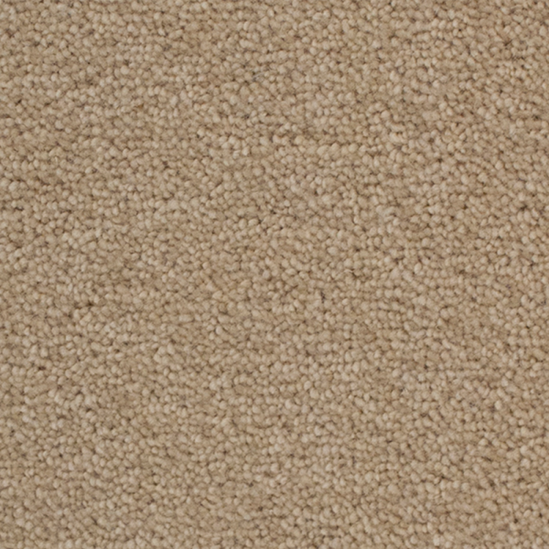 Tudor Twist Birchwood Beige