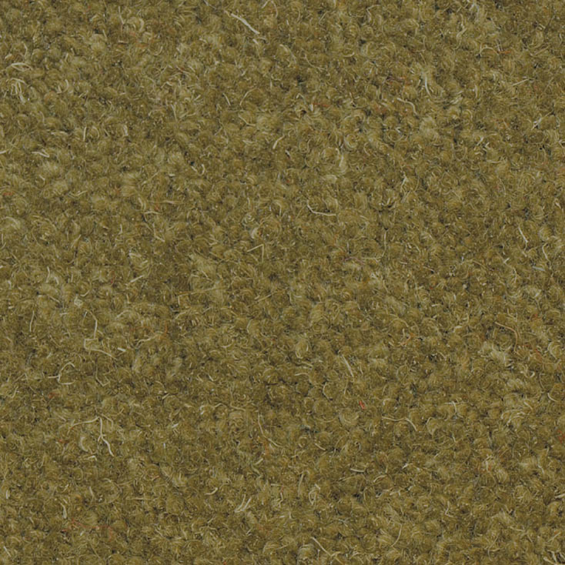 Tudor Twist Central Park