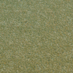 Tudor Twist Cricket Green