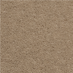 Tudor Twist Feather Cream