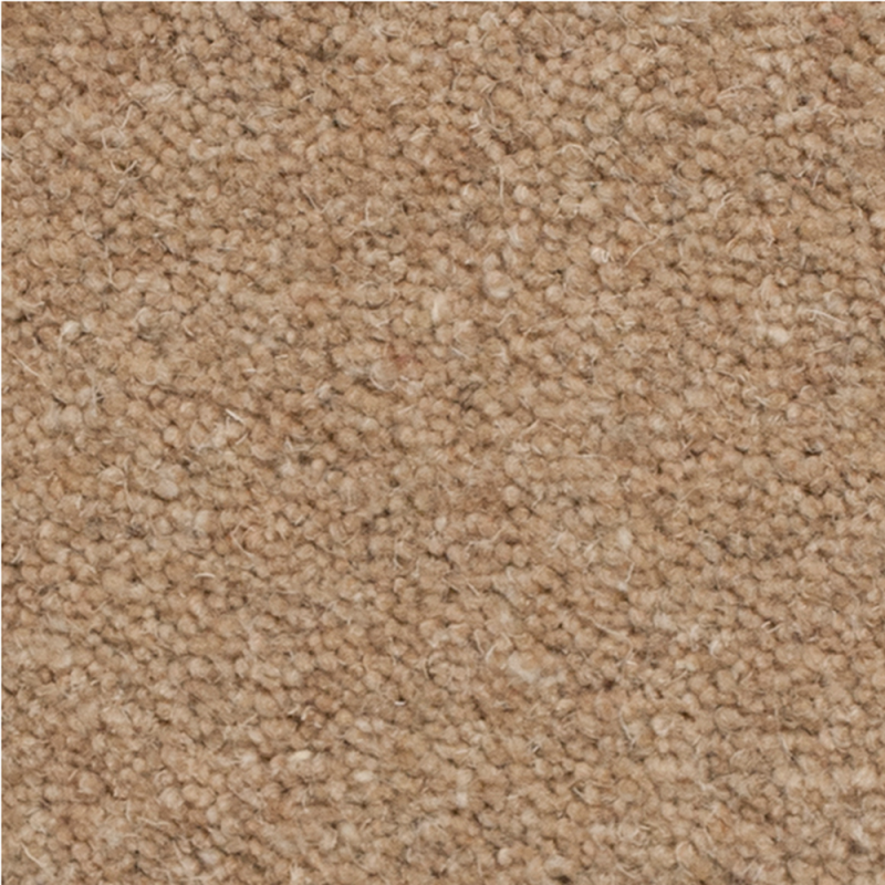 Tudor Twist Gobi Dune