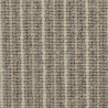 Natural Coordinates Stripe Tempest