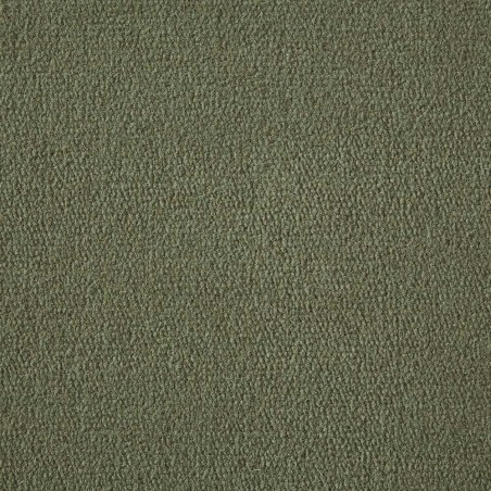 Asparagus Exquisite Velvet