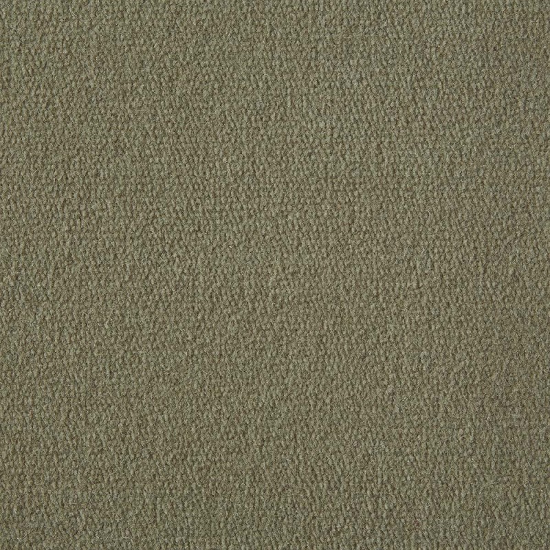 Canvas Exquisite Velvet