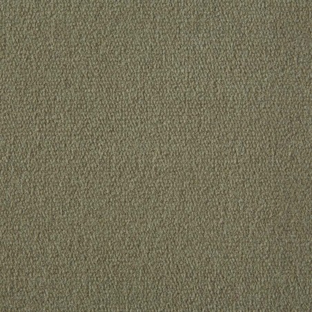 Canvas Exquisite Velvet