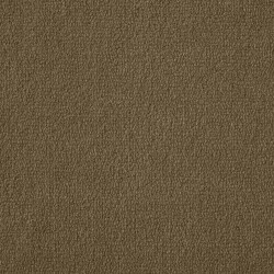 Moccasin Exquisite Velvet